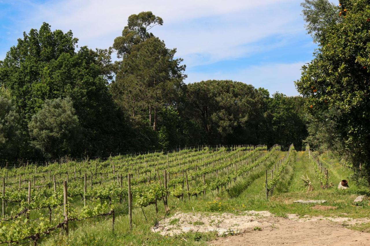 Quinta De Chousas - Braga - Agroturismo Exterior foto